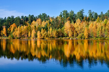 Fototapeta na wymiar The autumn forests lakeside landscape.