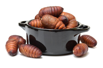 chrysalis silkworm and silk worm cocoon