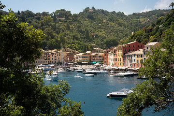 Fototapeta na wymiar Italy, Genoa province, Portofino. Upscale fishing village on the Ligurian Sea, pastel buildings overlooking harbor