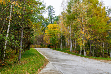 The road on the autumn forests landscape.