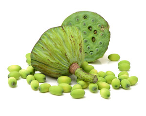 Lotus seed pot (lian zi) - The lotus seeds are used extensively in traditional Chinese medicine and desserts.