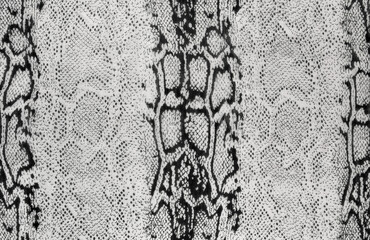 Snake skin animal print fabric texture background