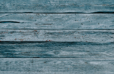 Gray wood texture with traces of cracked aquamarine paint.Abstract background,blank template. rustic weathered wood barn background with scratches,nails and knots.Copy space.
