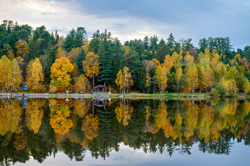 The autumn forests lakeside landscape.