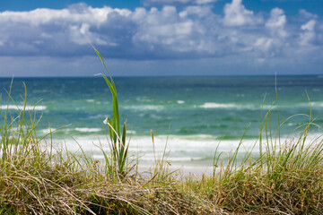 Blick über Grasdüne auf Strand und Meer bei bewölktem sommerlichen Wolkenwetter.