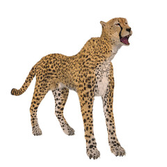 Obraz na płótnie Canvas 3d render of a cheetah