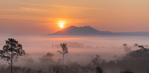 Obraz na płótnie Canvas Mountain and fog mist with trees during Sunrise in Asia
