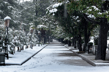Snowy morning on subtopic boulevard 