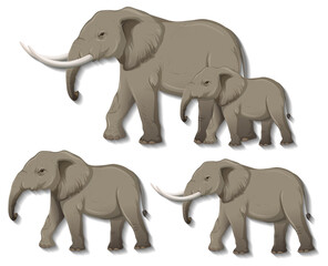 Set of isolated elephants on white background