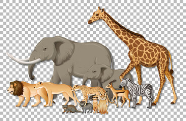 Group of wild African animals on transparent background