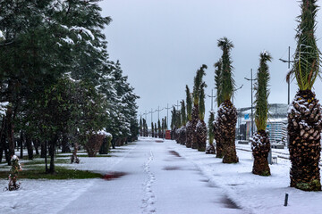 Snowy morning on subtopic boulevard 