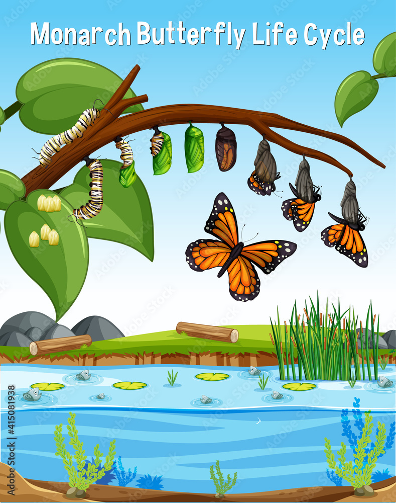 Sticker Scene with Monarch Butterfly Life Cycle