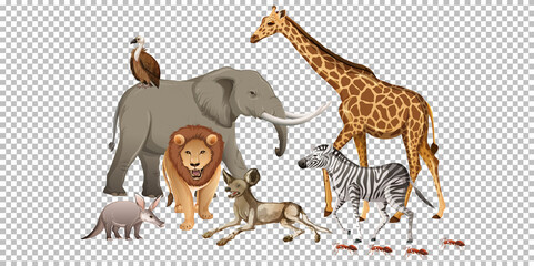 Group of wild african animal on transparent background