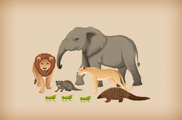 Gruppe von wilden Tieren im Hintergrund © blueringmedia