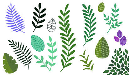 Set of different tree leaves. Isolated on a white background. Collection of abstract leaves. Vector design elements. vector illustration.