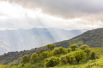 Fototapeta na wymiar Italy, Sicily, Messina Province, Francavilla di Sicilia. View of the forested hills around Francavilla di Sicilia.