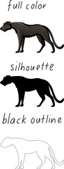 Set of black panther in color, silhouette and black outline on white background