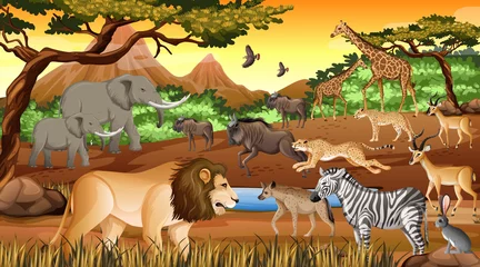 Gruppe wilder afrikanischer Tiere in der Waldszene © blueringmedia