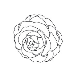 linear silhouette flower. Botanic decoration vector element. Graphic sketch. One line. 