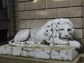 Beautiful stone lion of white color with cracks
