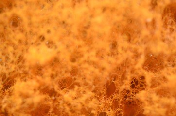 building foam texture background