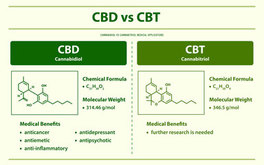 CBD vs CBT, Cannabidiol vs Cannabitriol horizontal infographic illustration about cannabis as herbal alternative medicine and chemical therapy, healthcare and medical vector.