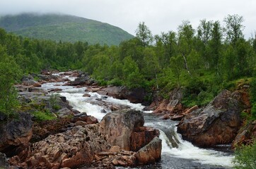 Obraz premium cascading mountain river stream in summer on the island of senja