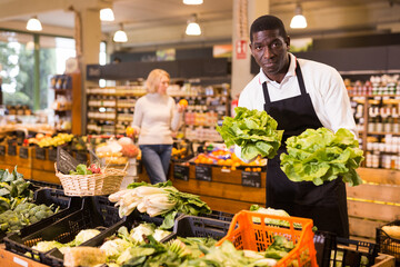 Focused African man working in organic food store, putting fresh vegetables in boxes on showcase