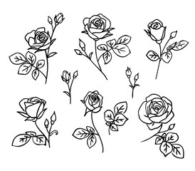 Set of decorative fresh blossoming rose silhouette with leaves isolated on white background. Hand drawn outline flower icon. Vector stock illustration - obrazy, fototapety, plakaty