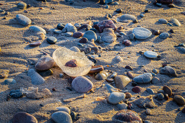 pebbles are frosted at the sea