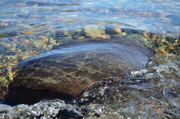 beautiful ripples on river flow over colorful stones in summer sunshine