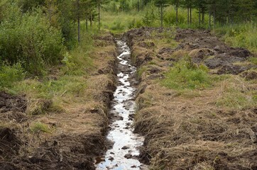 drainage ditch canal in forest