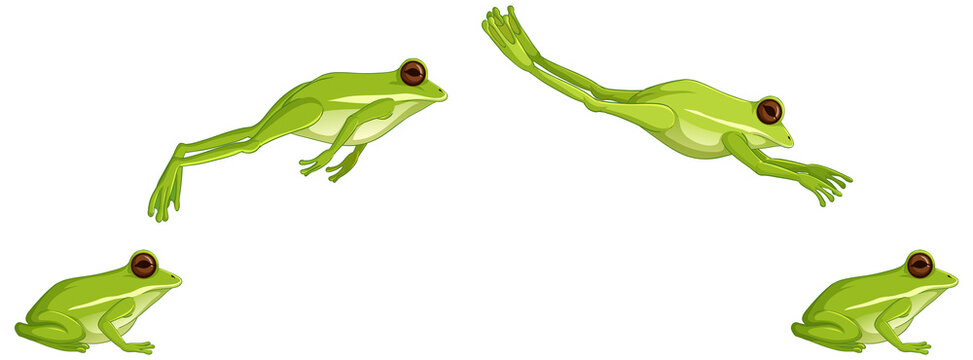 Green tree frog jumping sequence isolated on white background