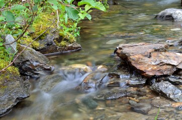 Fototapeta na wymiar clean and clear serene mountain stream in summer wilderness
