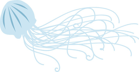 可愛い足が長いクラゲ © foolchico