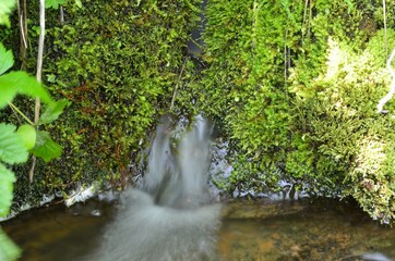 clean and clear serene mountain stream emerging from mossy cave wall in summer wilderness