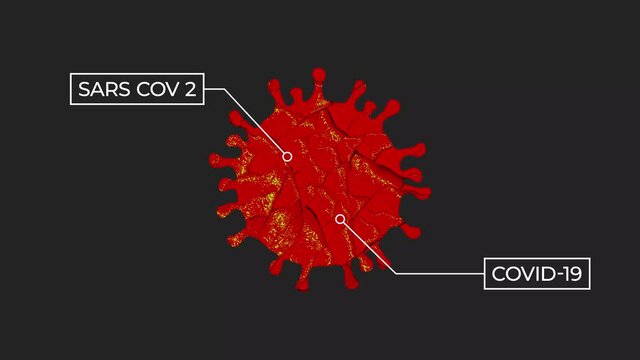 Representation of a SARS-COV-2 cell spinning in a black background, covid-19 particle 2D animation 4K 60 ffs.