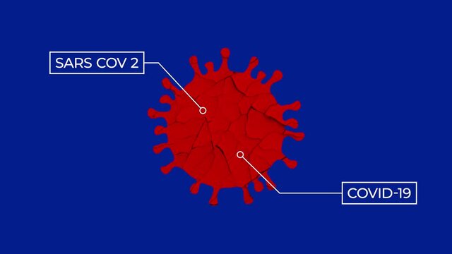 Representation of a SARS-COV-2 cell spinning in a blue background, covid-19 particle 2D animation 4K 60 ffs.