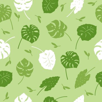 Vector seamless pattern of tropical leaves, plants, flowers on dark green. Beautiful print with exotic plants. Botanical design of fabrics, wallpapers, for natural cosmetics, perfumes, women's goods