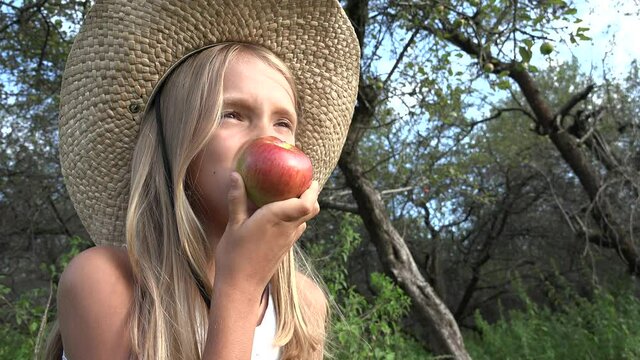 Girl Eating Apple, Kid in Orchard, Kid Tasting Fruits in Tree, Farmer Blonde Child at Village at Countryside
