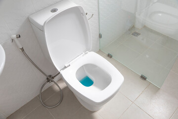 White hanging toilet seat on white toilet in the home