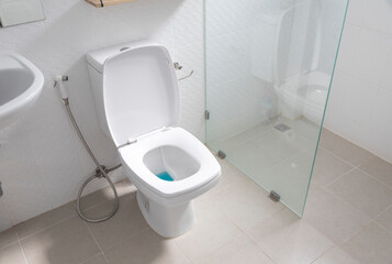 White hanging toilet seat on white toilet in the home