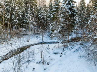 Winter forest and river
