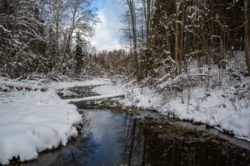 Winter forest and river
