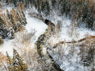 Winter forest and river