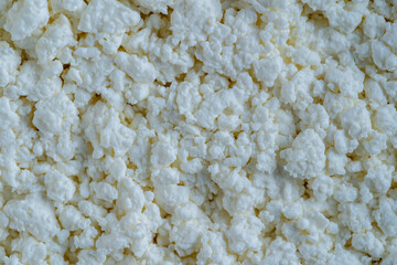 Cottage cheese of background. White grainy texture of dairy product