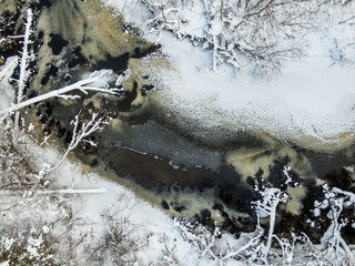 Winter forest and river