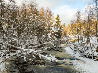 Winter forest and river