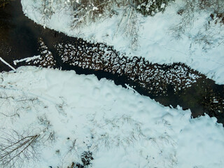 Winter forest and river