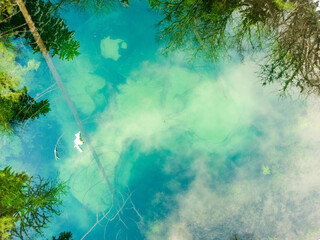 Siniallikad (Estonia) winter river in the forest